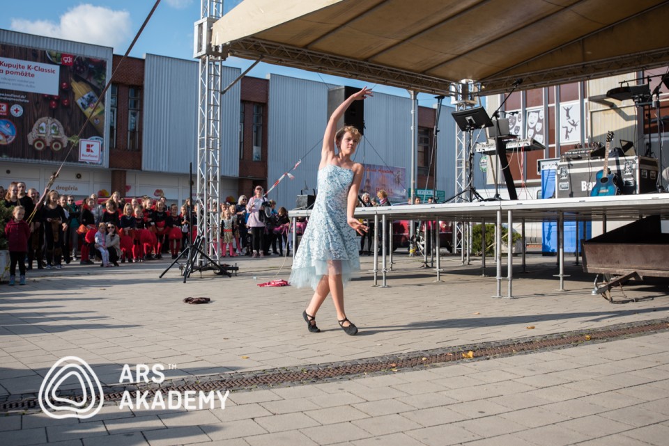 Ars Akademy